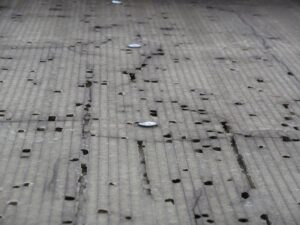 桶川市　サンルーム屋根　塩ビ波板の劣化