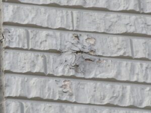 北葛飾郡杉戸町　外壁塗膜の膨れ、剥がれ