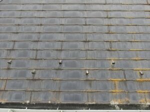 蓮田市にて現場調査で屋根の汚れコケカビ発生