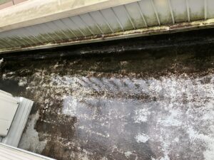 北本市にてベランダの塗膜劣化と外壁のコケ・カビ発生