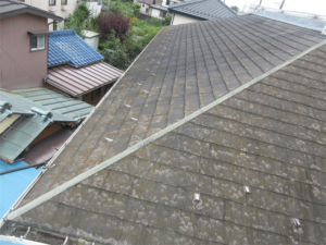 加須市にて屋根の外観