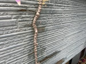 伊奈町にて外壁サイディング材のひび割れ部分にコーキング打ち込み