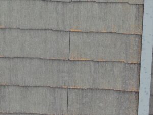 白岡市にて屋根診断、スレート屋根材に苔の発生