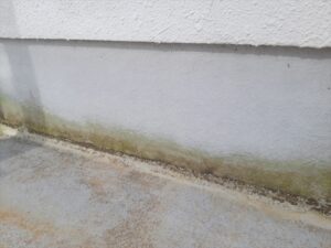 蓮田市にてベランダ床面の塗膜の剥がれ、カビや苔の発生