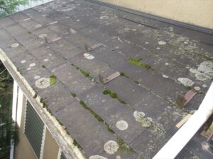 伊奈町にて屋根外壁診断、屋根材にカビや苔・藻の発生