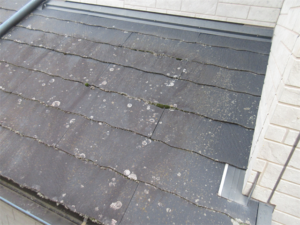 さいたま市にて屋根のカビ苔