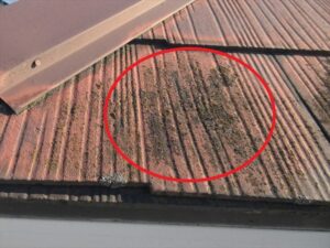 鴻巣市にて屋根塗膜の剥がれ