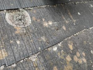 上尾市にてスレート屋根にカビ苔の発生