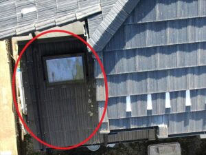 蓮田市にて下屋根、天窓にカビの発生