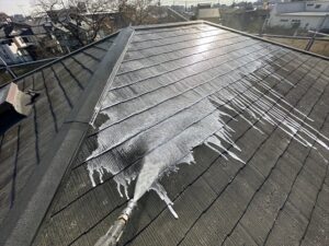 伊奈町にて屋根のバイオ洗浄