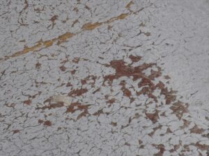 鴻巣市にて外壁診断、ベランダ床面のトップコート塗膜の剥がれ