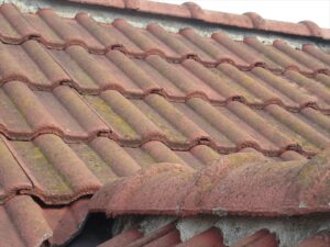 鴻巣市にて屋根診断、瓦面にカビ苔の発生